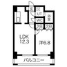 モアナコート 1LDKの間取り