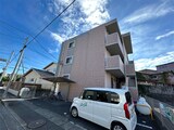 リーフグリーン