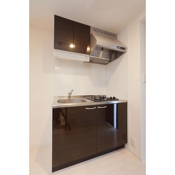  ルアナヴィータ