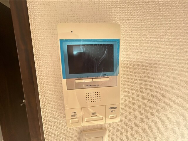  ルアナヴィータ