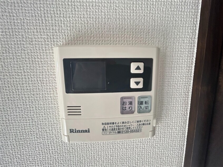  ルアナヴィータ