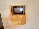  マンゼルモニーレ