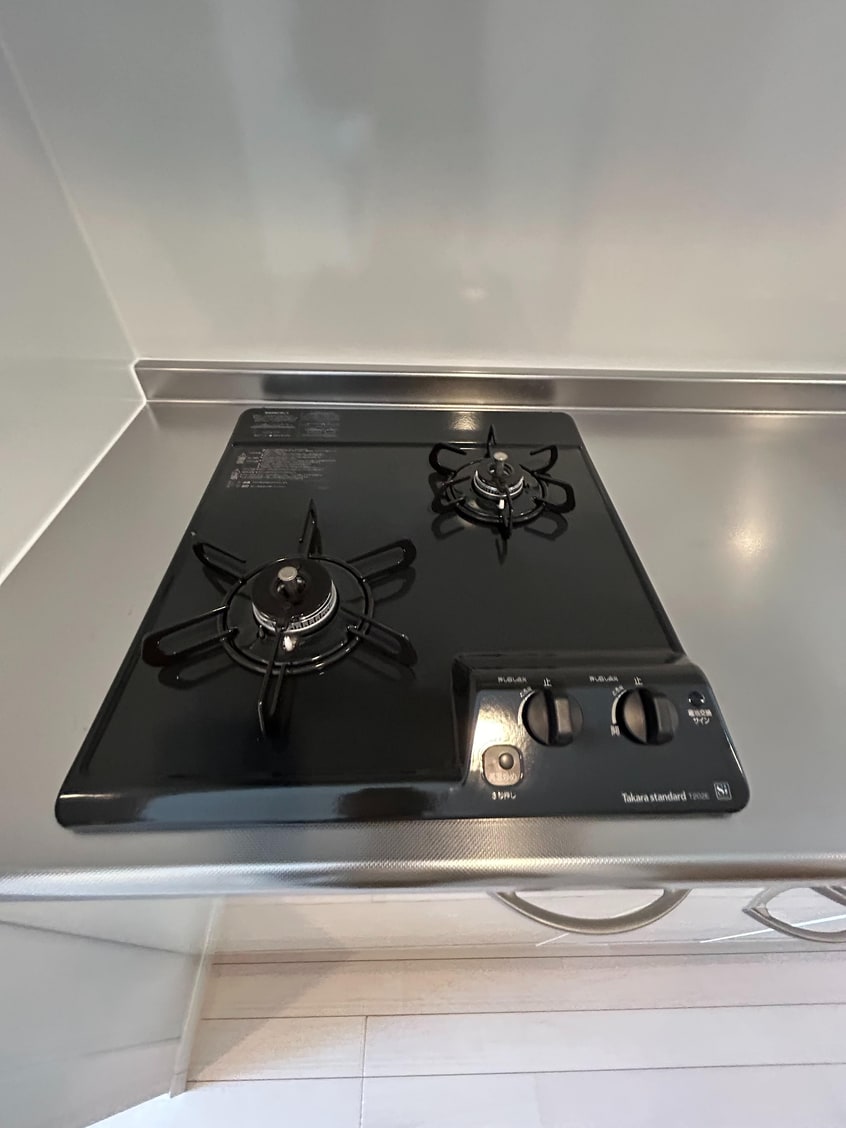  ヴィガラス川成島