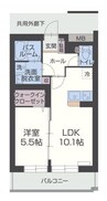 アステール 1LDKの間取り