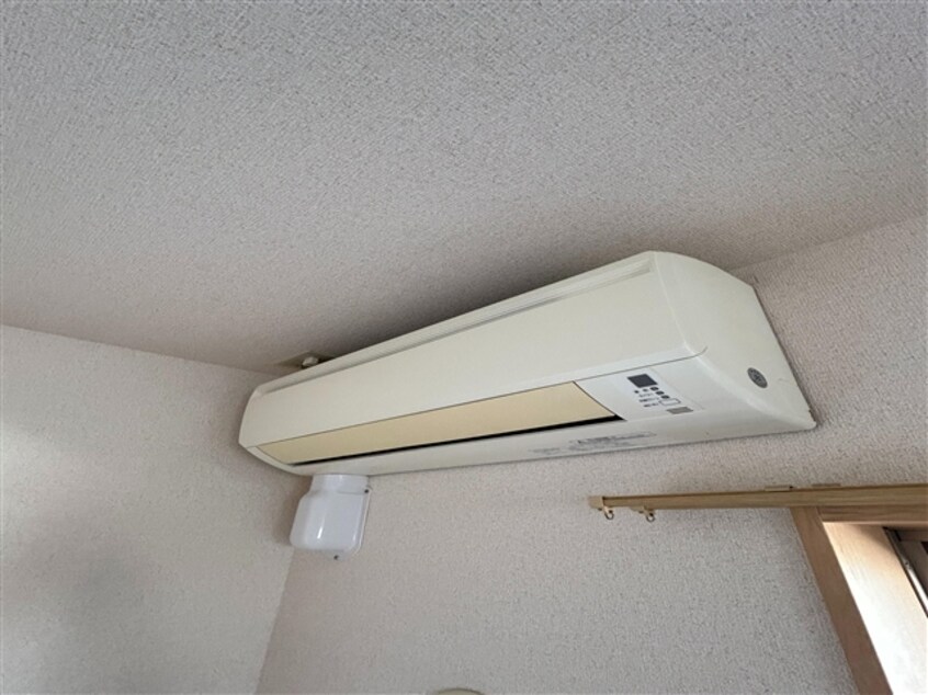  セレスト