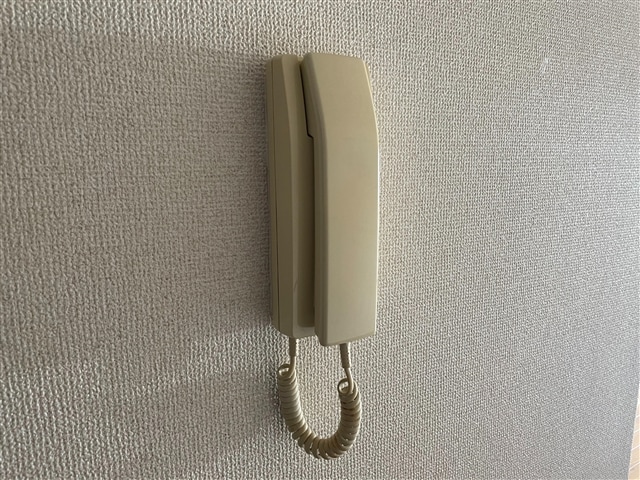  ラフィーネ花畑