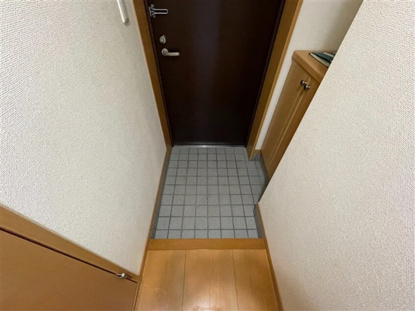  ヴィブレローゼス