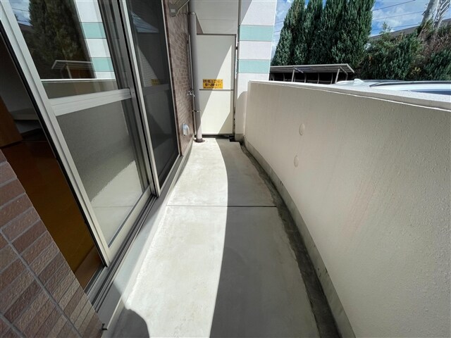  ヴィブレローゼス