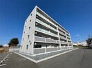 プラシードの外観