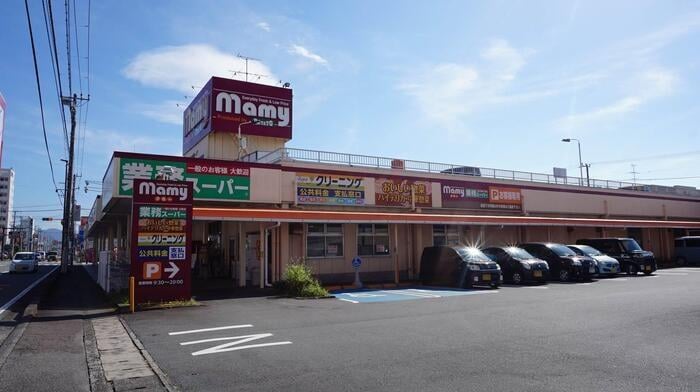 スーパーマミー(スーパー)まで1038m エスポワールY　VII
