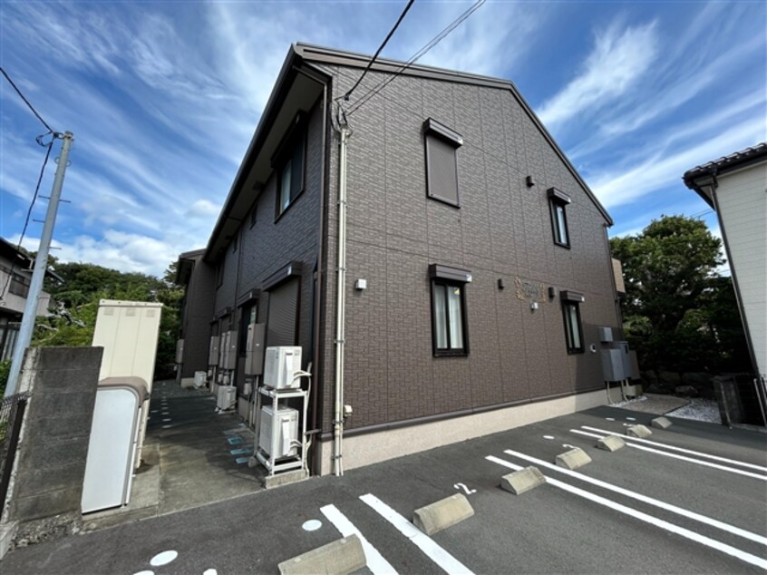  フェリス