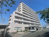 ドリーミー片浜