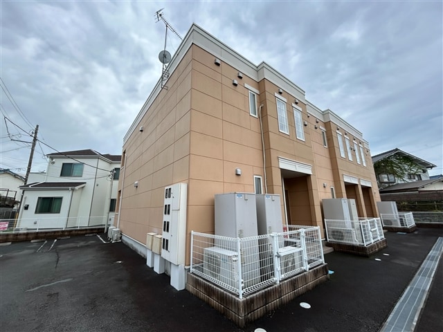  ウィステリア・リッシュ