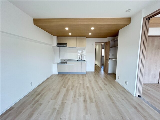  ジフォソフィーラ