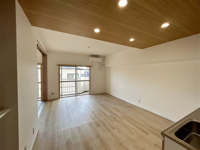  ジフォソフィーラ