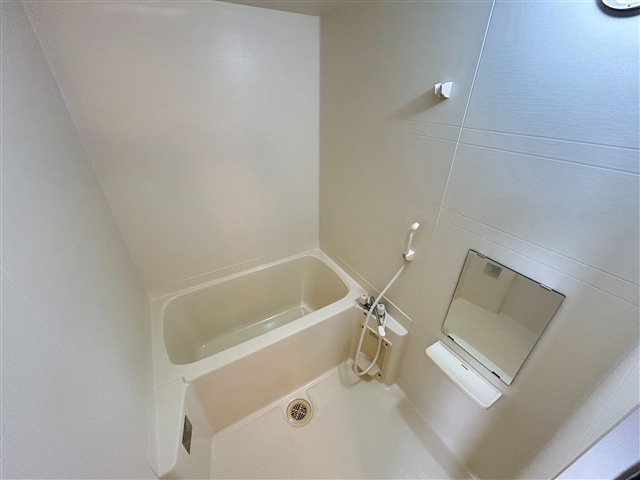  ヴィブレヴィスタシアB