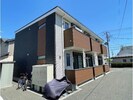 ラフィアの外観
