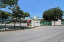 足利みどり幼稚園(幼稚園/保育園)まで1649m JAJAハイツ