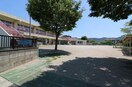 わかば保育園(幼稚園/保育園)まで1259m JAJAハイツ