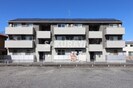 カノンの外観