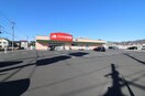 クスリのアオキ 大町店(ドラッグストア)まで867m 足利KSハイツ
