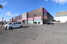ザ・ダイソー 足利朝倉店 2765m ベルコート