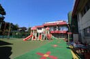 龍泉寺保育園(幼稚園/保育園)まで769m ベルコート