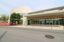 足利くるみ幼稚園(幼稚園/保育園)まで1298m ベルコート