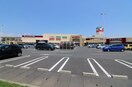 ヨークベニマル 足利店(スーパー)まで390m PREMIST V 「プレミスト5」