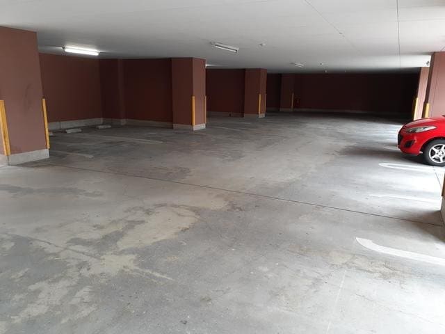  アルドーレ　（Ａｒｄｏｒｅ）