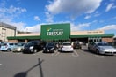 FRESSAY(フレッセイ) 通町店(スーパー)まで892m 柳原町貸家