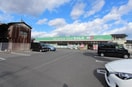 ドラッグセイムス足利中央店(ドラッグストア)まで303m 柳原町貸家