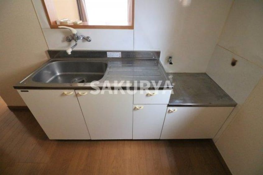 現況と異なる場合があります。 パピオン