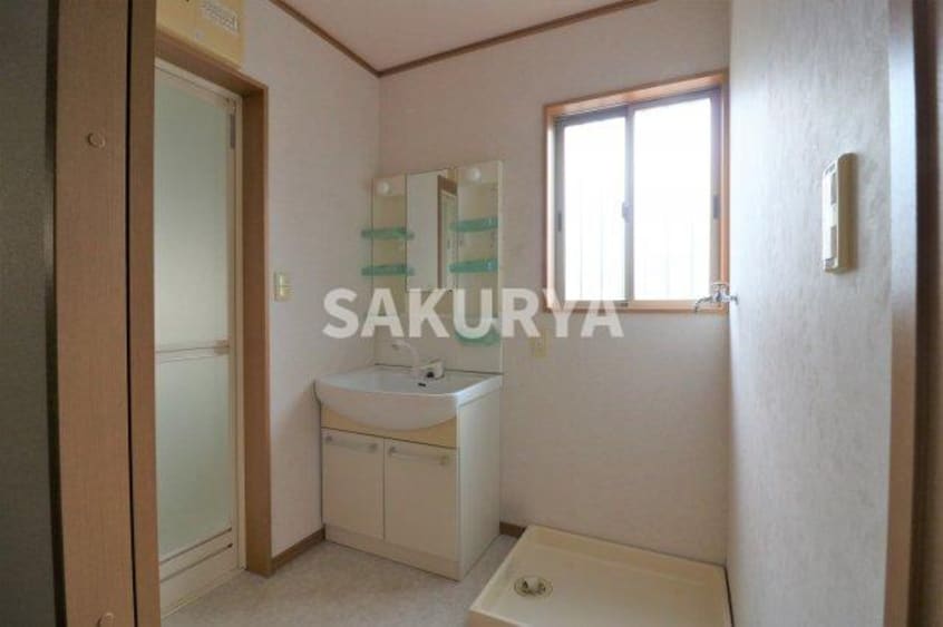 現況と異なる場合があります。 パピオン