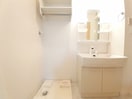 スペースが確保できる洗面所です マリアパレスＡ