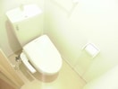 落ち着いた色調のトイレです ベルデ　ブリッサⅠ