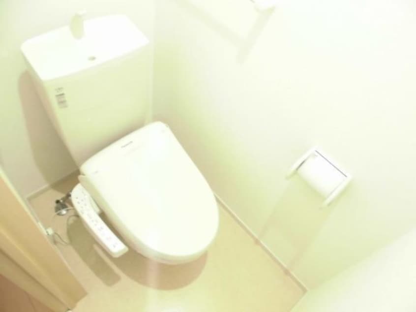 落ち着いた色調のトイレです ベルデ　ブリッサⅠ