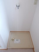  コンステラシオン