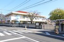 しんまち保育園(幼稚園/保育園)まで903m サンシャインハイツ