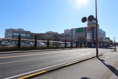 アピタ 足利店(スーパー)まで764m ラフォーレ田部井