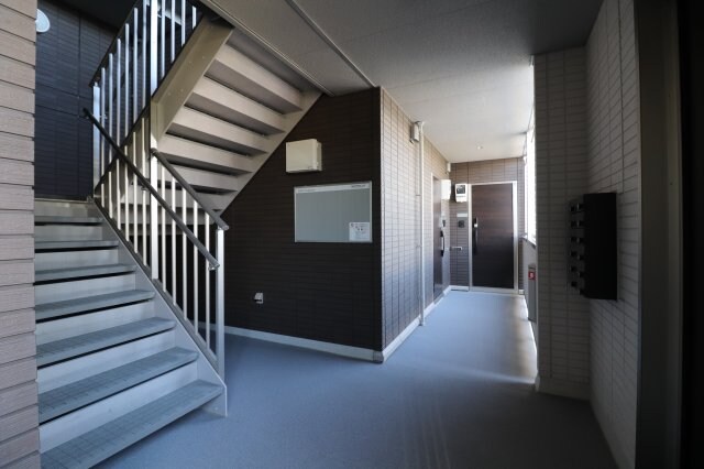  Mil AmoreE「ミルアモールE」