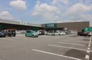 カインズホーム 足利店(電気量販店/ホームセンター)まで2245m ミルアモールＥ
