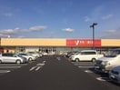 ヤオコー足利八幡店まで2,129ｍ フルールマルシェⅡ