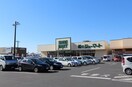 株式会社シューマート足利店 1967m ラ・ヴィータ