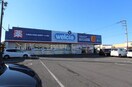 ウエルシア足利福居店(ドラッグストア)まで1985m 京和風 嵯峨野 雪