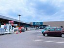 カインズ足利店まで400m ＨＹソレイユ　Ｂ