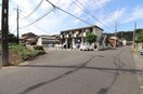  グリーンスメル