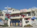 若葉保育園(幼稚園/保育園)まで1585m ラ・ペーシュ
