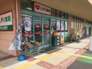 くすりのレデイ 十川店(ドラッグストア)まで1339m メロコトン