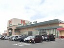 ハローズ丸亀店まで600m エルディム　フジ　Ｂ
